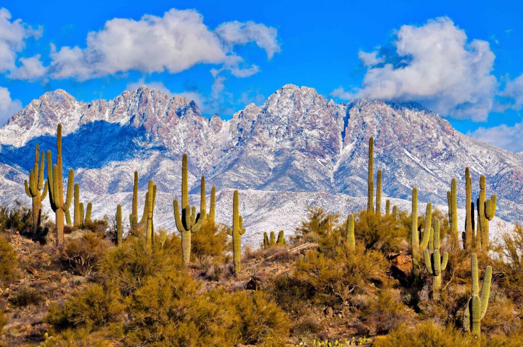 Hydration Hacks for Arizona’s Dry Season